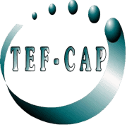 Tefcap logo